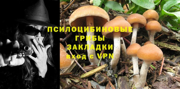 хмурый Баксан