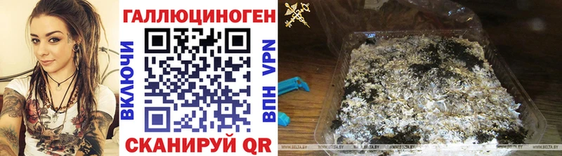 omg ссылка  Заречный  Галлюциногенные грибы прущие грибы 